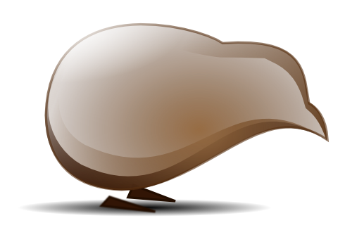 okiwi logo